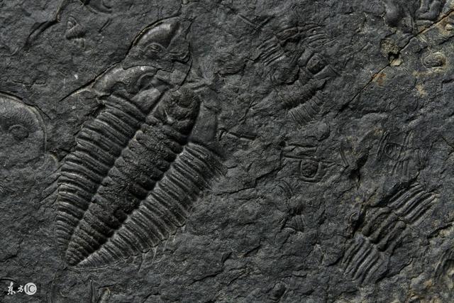 为什么要进行现场踏勘，野外路线踏勘的具体工作内容有哪些