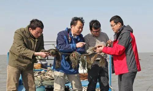 资智回汉的校友，来吧！校友