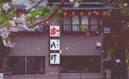 晚安心语171115：要活的漂亮，要让自己永远善良