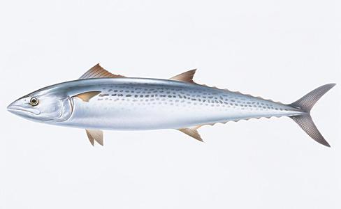 孩子每天6种益智补脑食物，助力孩子健康成长