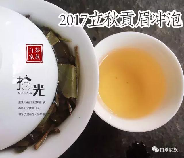福鼎白茶怎么泡才能达到最佳效果，福鼎白茶的冲泡方法