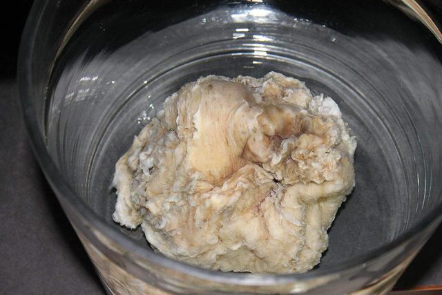 太岁肉是怎么变成的，太岁肉真的能治百病