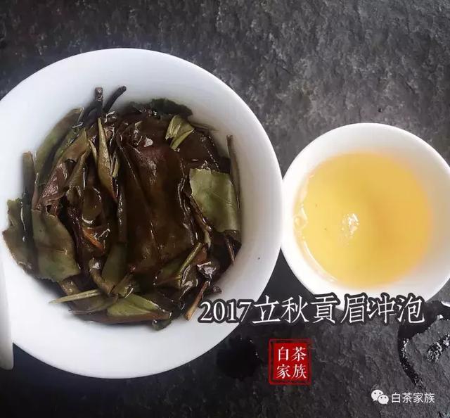 福鼎白茶怎么泡才能达到最佳效果，福鼎白茶的冲泡方法