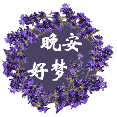 晚安明天见的好句子
