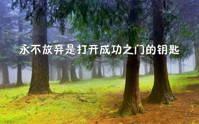 早安心语正能量171119：人生就像骑单车，想保持平衡就得往前走