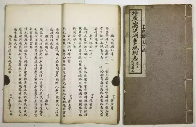 山西洪洞县大槐树，山西洪洞县大槐树在哪里（覆盖554个姓氏的明朝大移民）