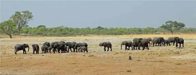 一万亿津巴布韦币在本地能干什么，津巴布韦有多神奇
