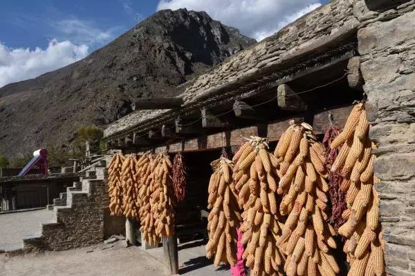 桃坪羌寨旅游攻略，桃坪羌寨附近旅游攻略