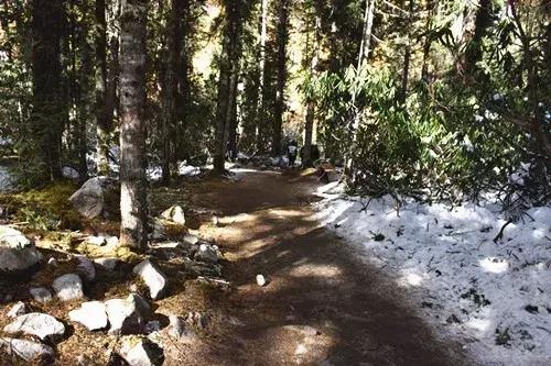 桃坪羌寨旅游攻略，桃坪羌寨附近旅游攻略