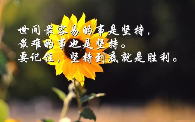 早安心语正能量180123：坚持自己的梦想，即使没有翅膀也能飞翔