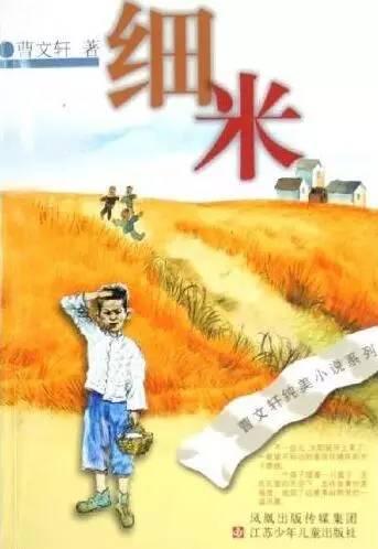 曹文轩的代表作，曹文轩的作品哪个最好看（我们应该给孩子什么样的儿童文学）