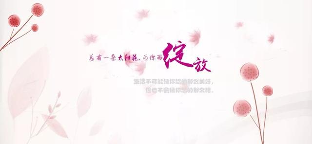 早安心语正能量180228：生命必须有裂缝，阳光才能照的进来