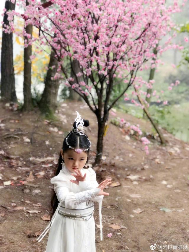 爸爸去哪儿 天天向上，吴尊帮刘畊宏带娃的是谁（曾打败《快本》，如今无人问津）