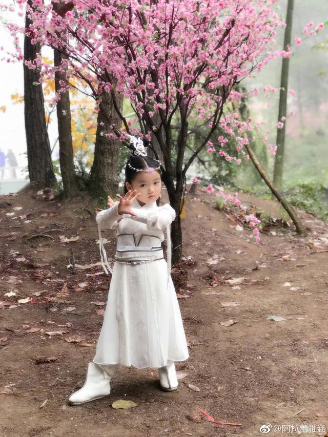 爸爸去哪儿 天天向上，吴尊帮刘畊宏带娃的是谁（曾打败《快本》，如今无人问津）