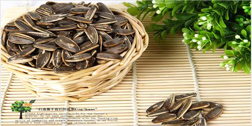 葵瓜子的作用与功效及禁忌，葵瓜子的功效很详细