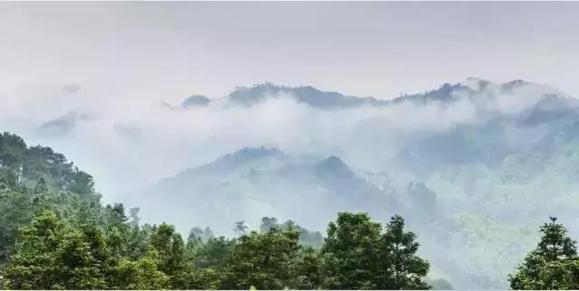 成都冬季旅游攻略，冬季成都周边一日游攻略