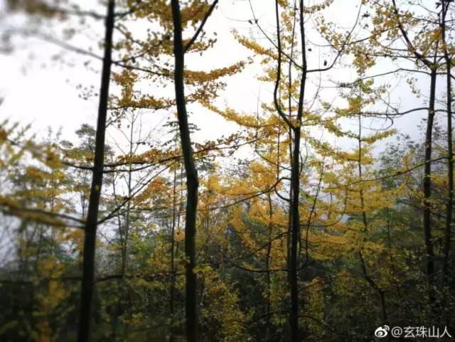 成都冬季旅游攻略，冬季成都周边一日游攻略