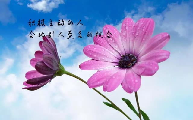 2018晚安心语正能量励志句子图片