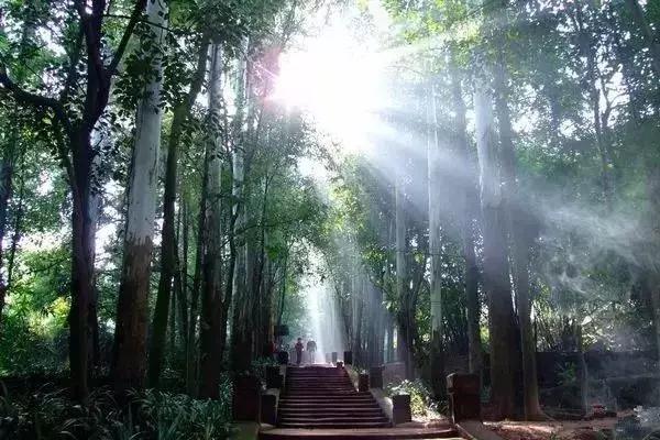 成都冬季旅游攻略，冬季成都周边一日游攻略