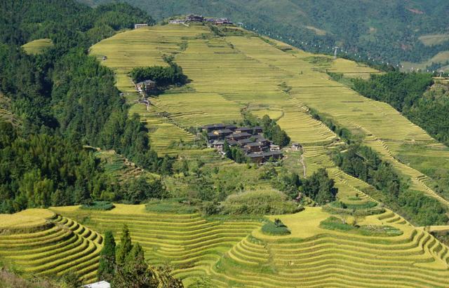 桂林阳朔自由行攻略，桂林阳朔自由行3天攻略（自驾游桂林阳朔攻略）