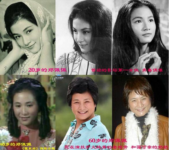 郑佩佩 张柏芝，郑佩佩拍过哪些电影（“不爱惜羽毛”终于付出代价）