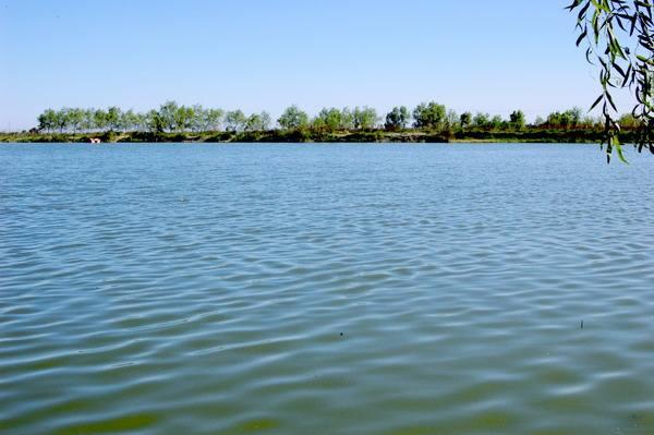 甘肃张掖市临泽县百科知识，甘肃省张掖市临泽县