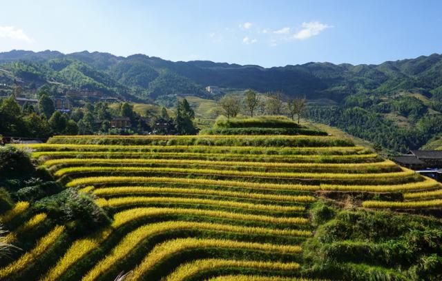 桂林阳朔自由行攻略，桂林阳朔自由行3天攻略（自驾游桂林阳朔攻略）