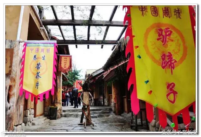 周城好玩吗，笑死人不偿命的