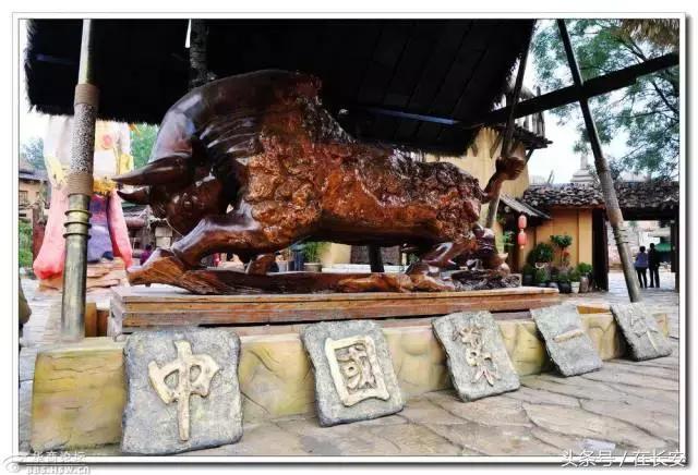 周城好玩吗，笑死人不偿命的