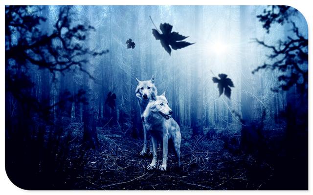 有趣的心理效应巴纳姆效应，心理说巴甫洛夫与狗