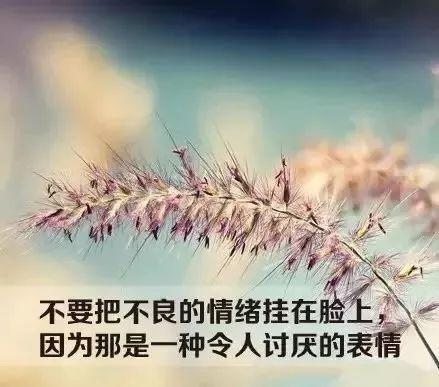 关于情绪的文字图片