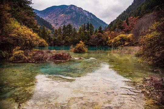 九寨沟诺日朗瀑布有什么特点，九寨沟：诺日朗瀑布雄伟壮观