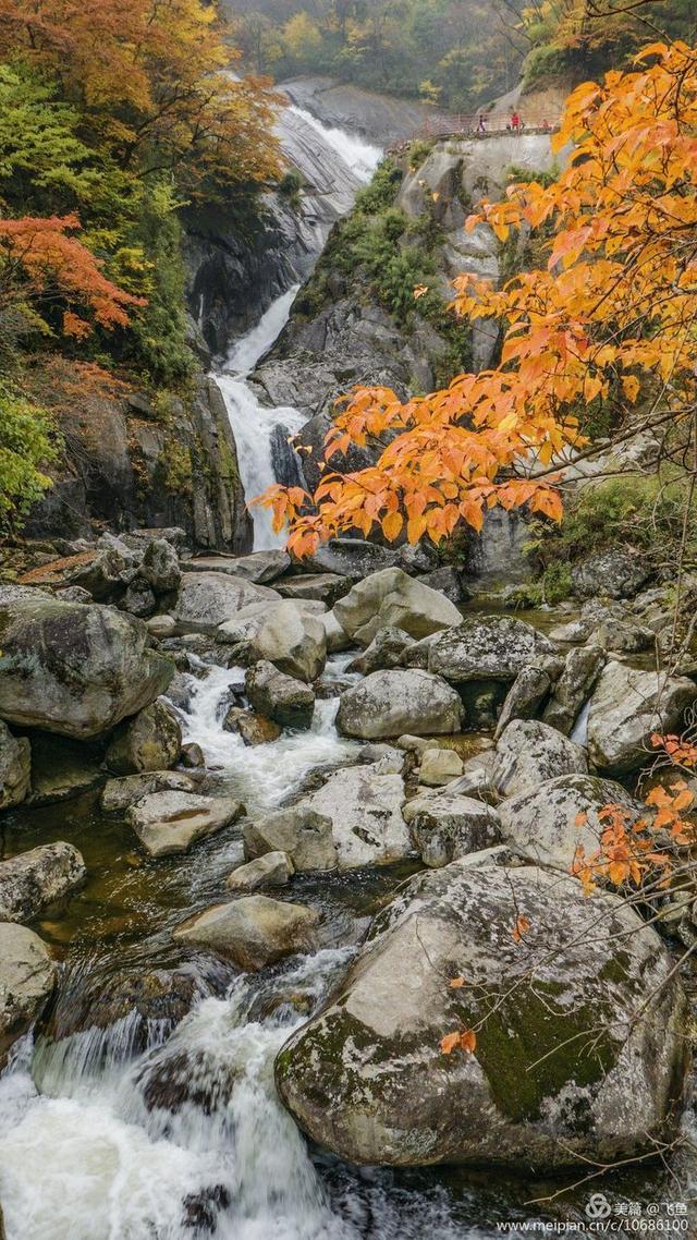 光雾山最佳观赏红叶路线，又是一年红叶季
