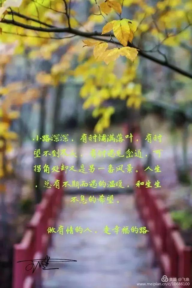 光雾山最佳观赏红叶路线，又是一年红叶季