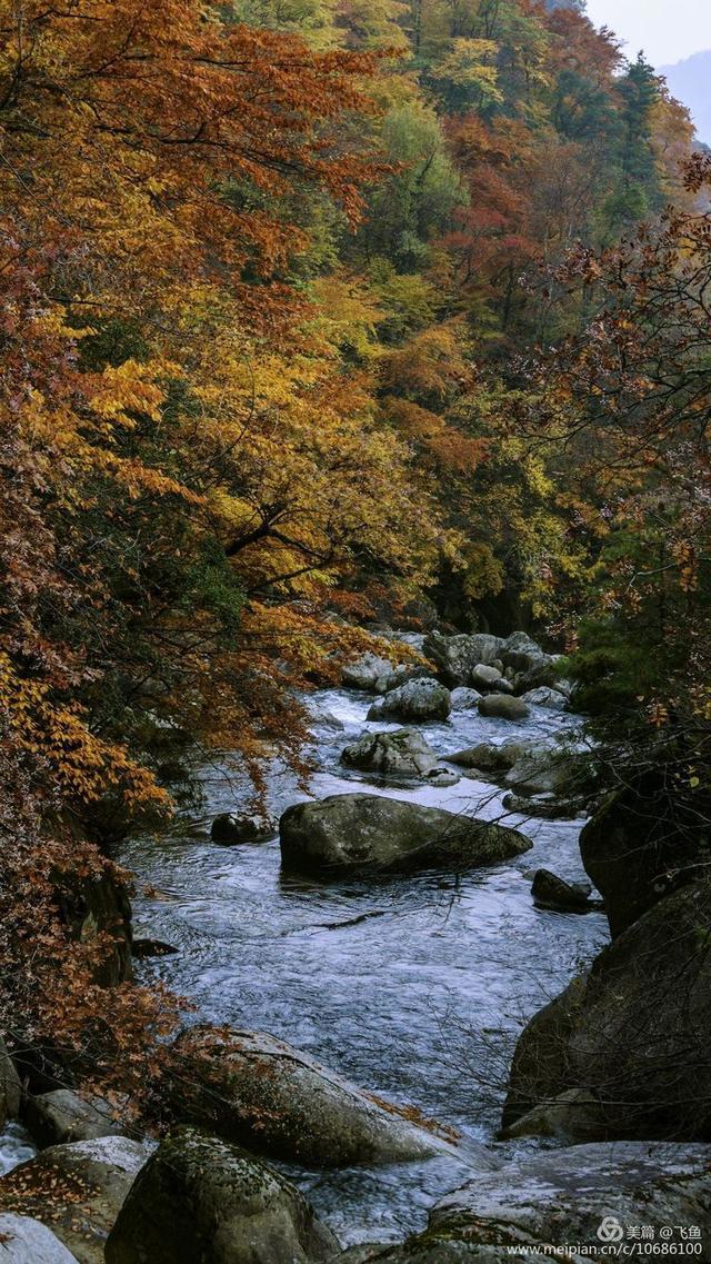 光雾山最佳观赏红叶路线，又是一年红叶季