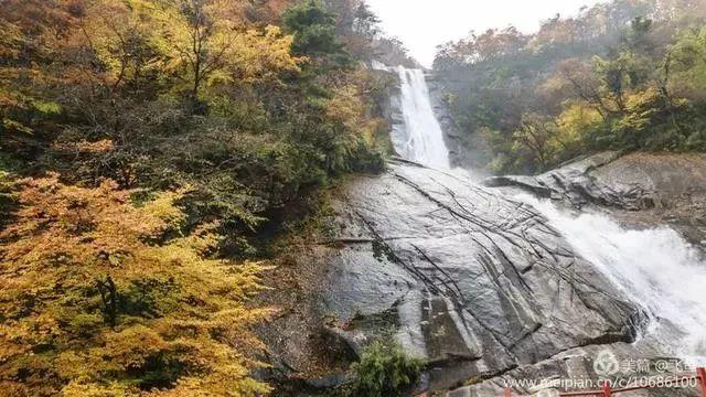 光雾山最佳观赏红叶路线，又是一年红叶季