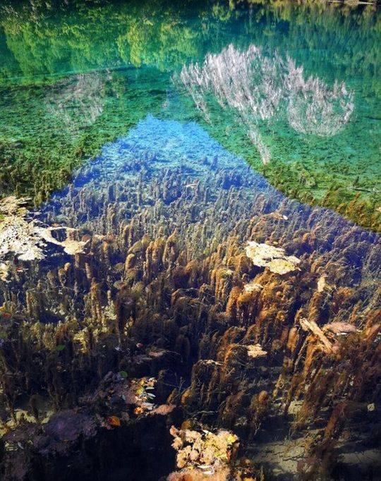 九寨沟诺日朗瀑布有什么特点，九寨沟：诺日朗瀑布雄伟壮观