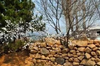 青岛十大徒步景区，邀请您来登山健身喽