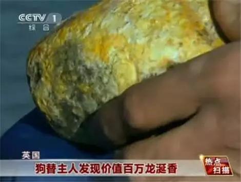 血珀和蜜蜡哪个好，蜜蜡与琥珀哪个更好（琥珀和蜜蜡，到底哪个更好）