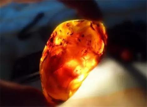 血珀和蜜蜡哪个好，蜜蜡与琥珀哪个更好（琥珀和蜜蜡，到底哪个更好）