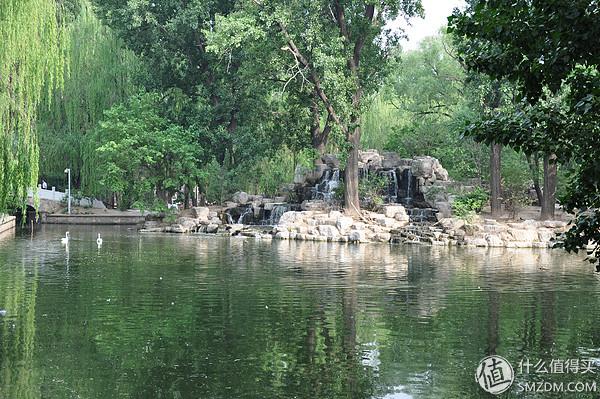 北京动物园狮虎山，北京动物园最快速的旅游攻略（北京动物园一小时游）