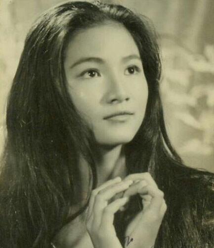 郑佩佩个人资料，郑佩佩演过的电视剧有哪些（76岁郑佩佩：39岁生四胎）