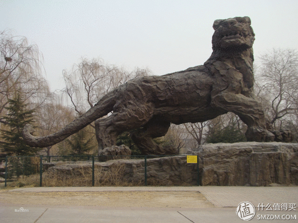 北京动物园狮虎山，北京动物园最快速的旅游攻略（北京动物园一小时游）