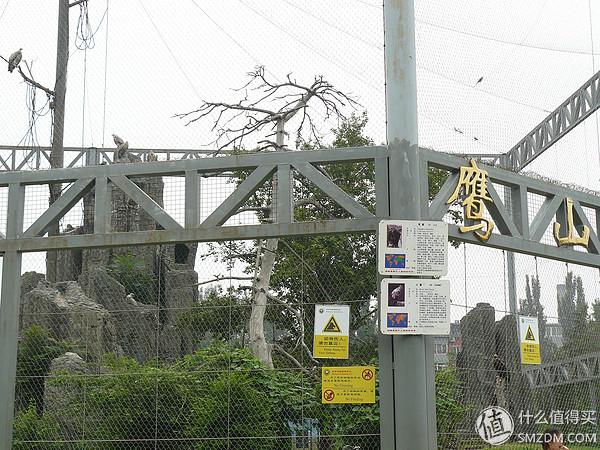 北京动物园狮虎山，北京动物园最快速的旅游攻略（北京动物园一小时游）