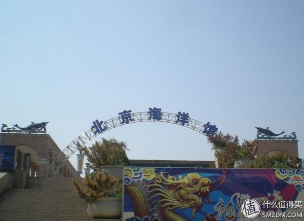 北京动物园狮虎山，北京动物园最快速的旅游攻略（北京动物园一小时游）