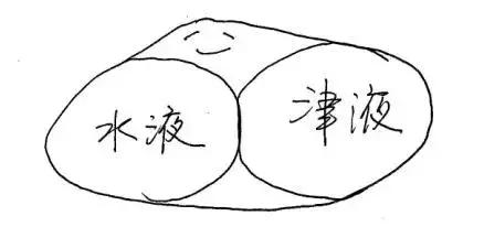 十二经络运行时间表，读懂身体十二经络（各种经络运行时间表）