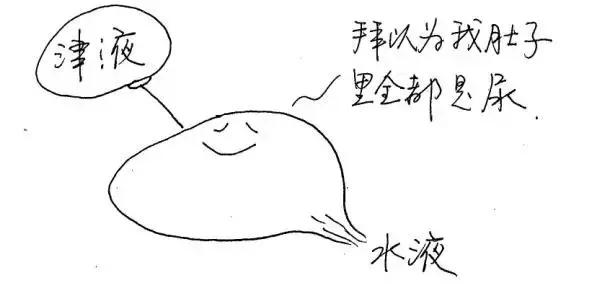 十二经络运行时间表，读懂身体十二经络（各种经络运行时间表）