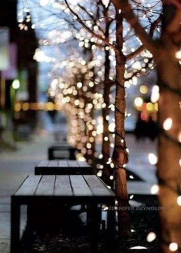 早安美图171204：陪伴在心间