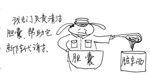 十二经络运行时间表，读懂身体十二经络（各种经络运行时间表）