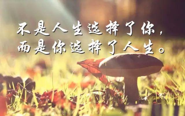 新的一周早安心语正能量：努力只能及格，拼命才能优秀！